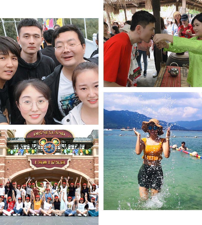 about us —— team