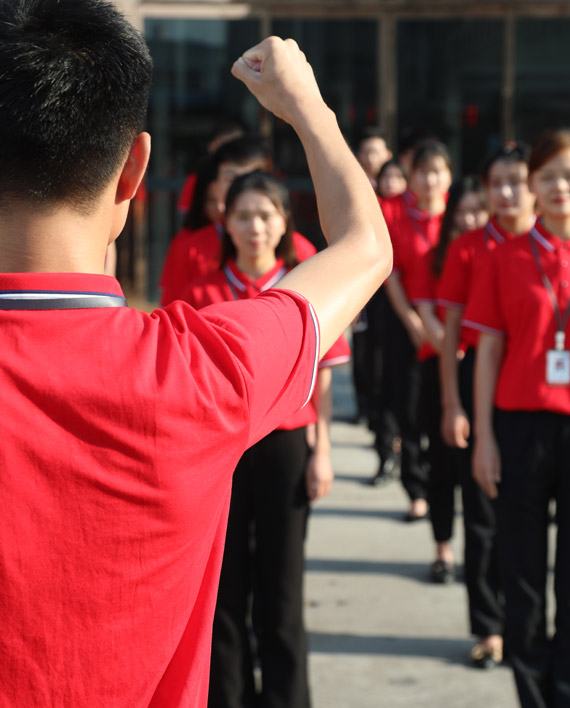 about us —— team