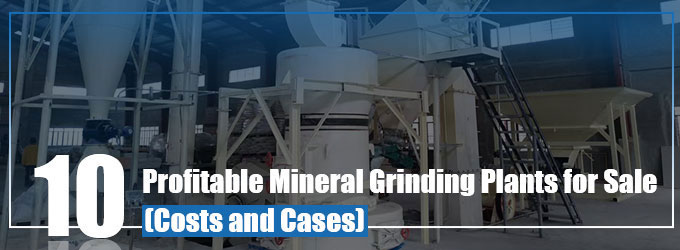 10 Profitable Mineral Grinding Plants for Sale (Costs and Cases)
