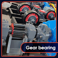 gear bearing