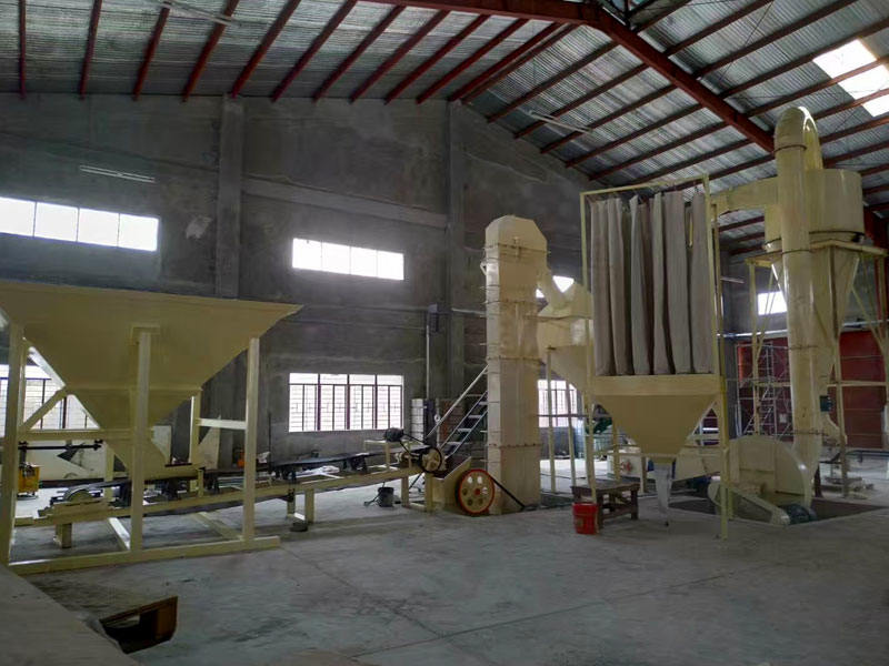 2 TPH powder grinding line in Pakistan