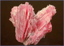 Rhodonite