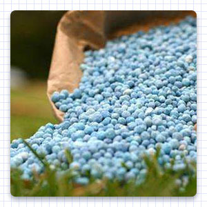 Nitrogen fertilizer, phosphate fertilizer, potash fertilizer and compound fertilizer (NPK fertilizer)