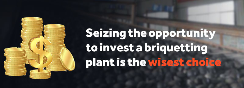 Investing in a briquetting plant