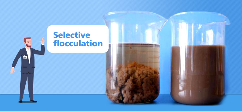 Selective flocculation