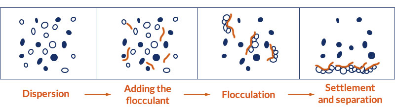 4 steps in selective flocculation