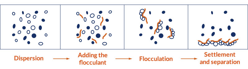 4 pasos en la floculación selectiva