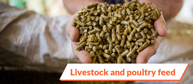 Dolomite powder is added to livestock and poultry feed