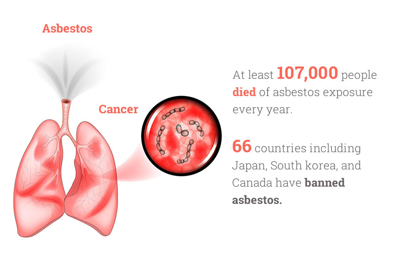 estrogen receptor beta mesothelioma