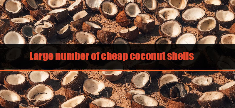 Cheap and abundant coconut shell resources