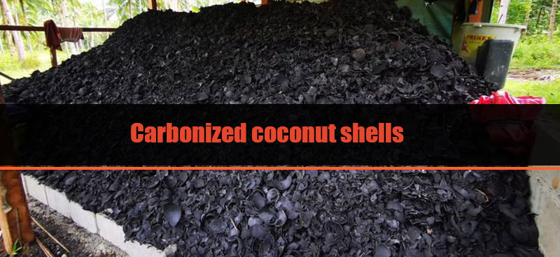 Carbonized coconut shells