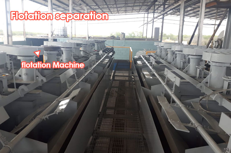 Flotation separation of lithium ore