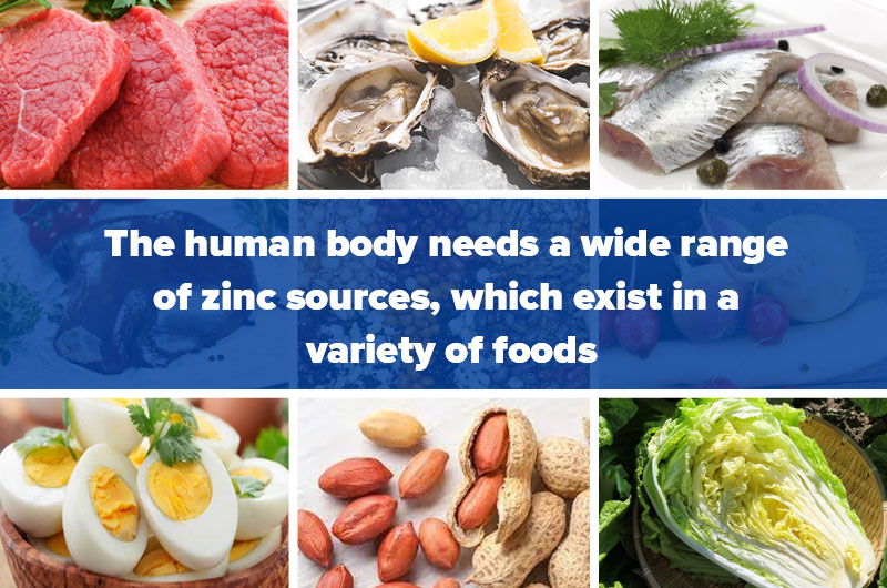 What food contains zinc