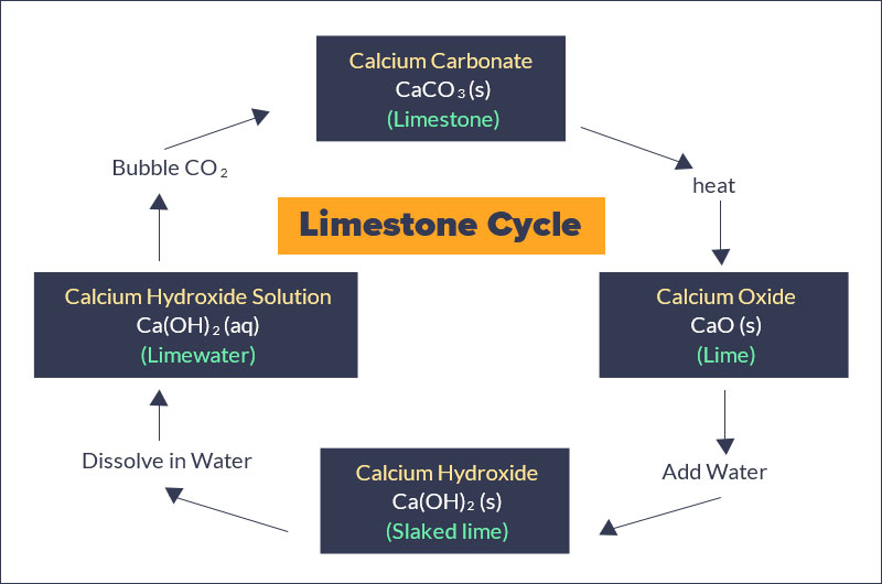 ciclo de la piedra caliza