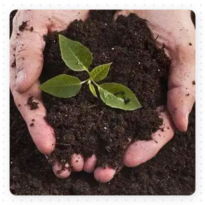 Dolomite soil amendment adjusts the soil pH value for plants to help them grow better.