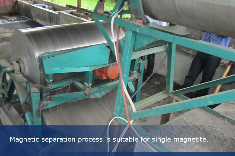 Single magnetic separation method