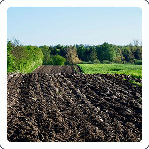 carbonato de calcio en la agricultura