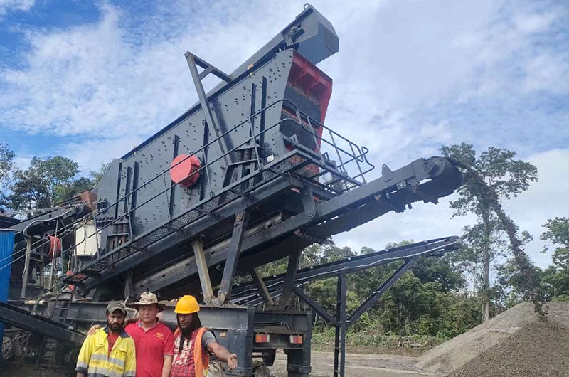 Lepidolite vibrating screen