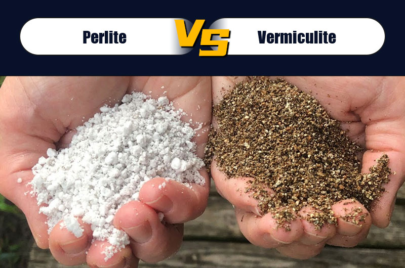 Vermiculite VS perlite