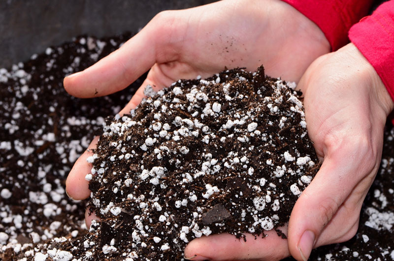 Expanded perlite is popular in gardening.