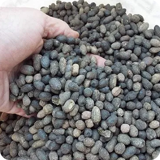 Organic fertilizer granules