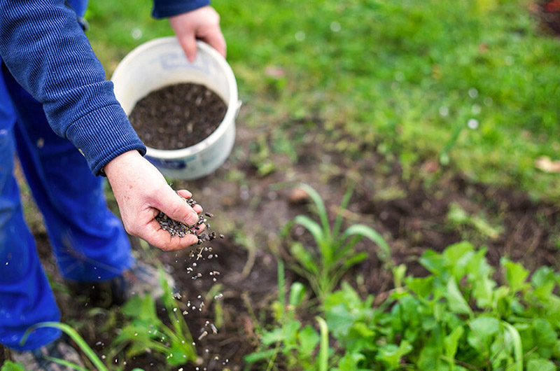 Coal gangue fertilizer