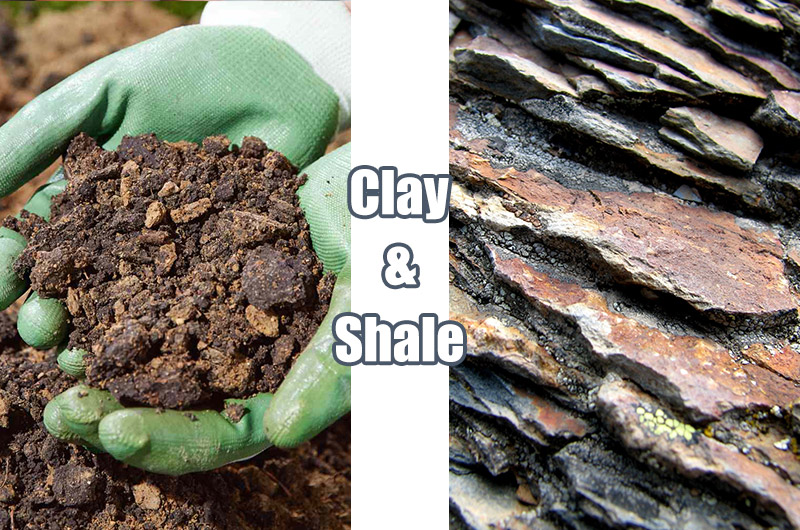 Materials Needed for LECA: clay and shale
