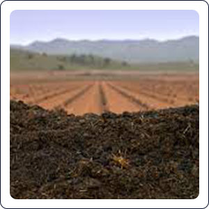 Soil conditioner