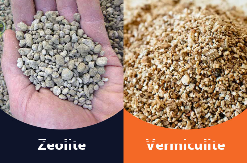 Zeolite and Vermiculite