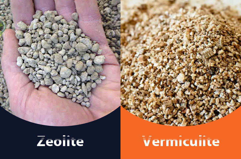 Zeolita y Vermiculita