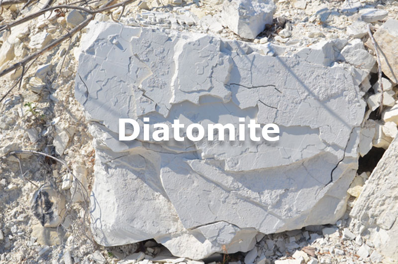 Diatomite