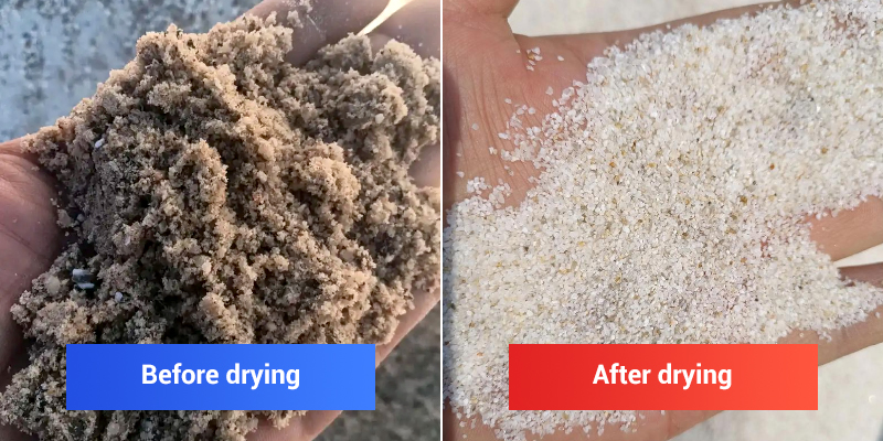 Dry sand and wet sand