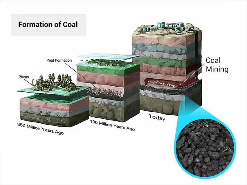 Where does coal come from?