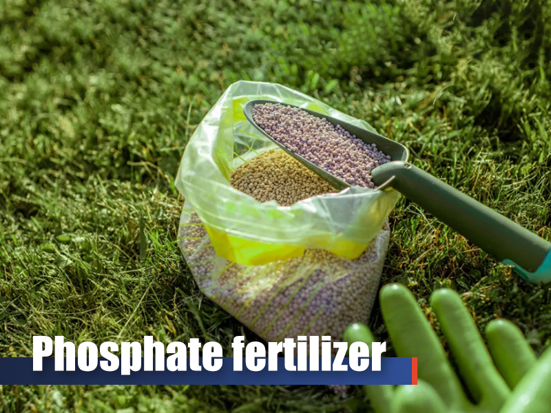 Phosphate fertilizer