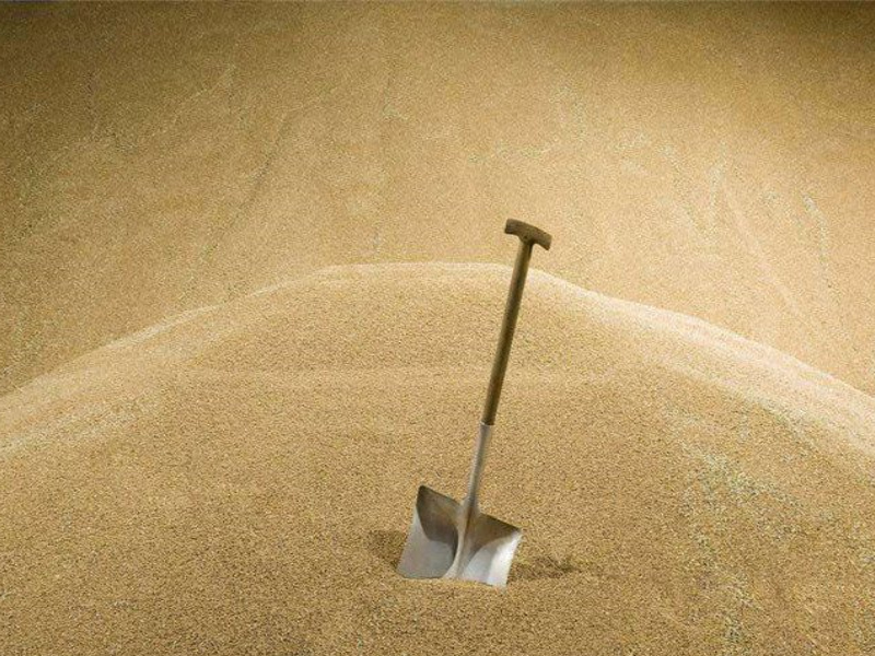 Density and size of sand