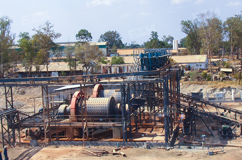 80–100 TPH gold processing line in Tanzania