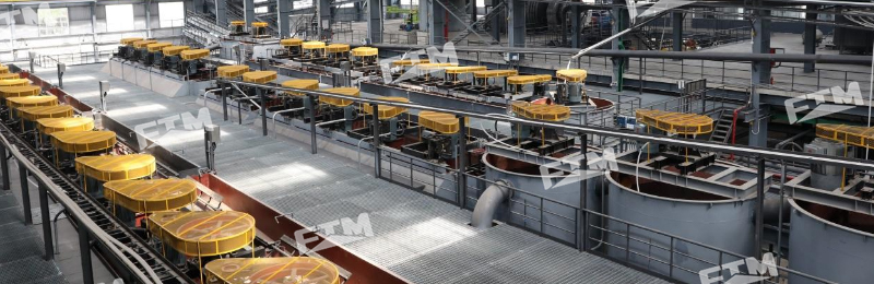 Gold ore flotation machines