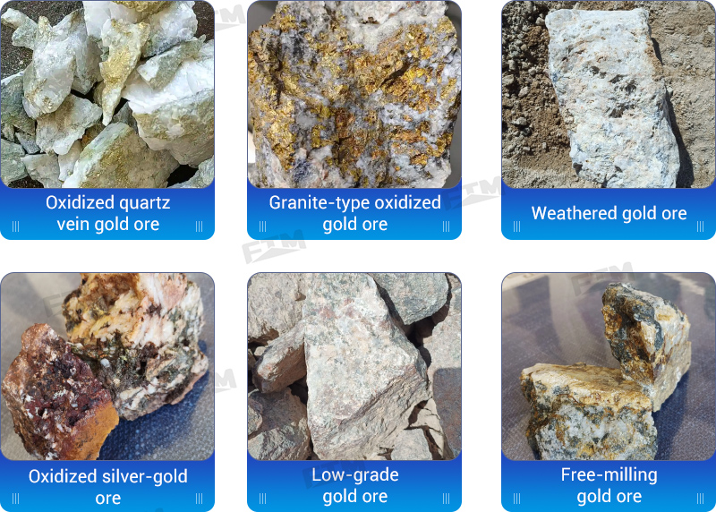 Different types of gold that can be processed by the gold CIP process