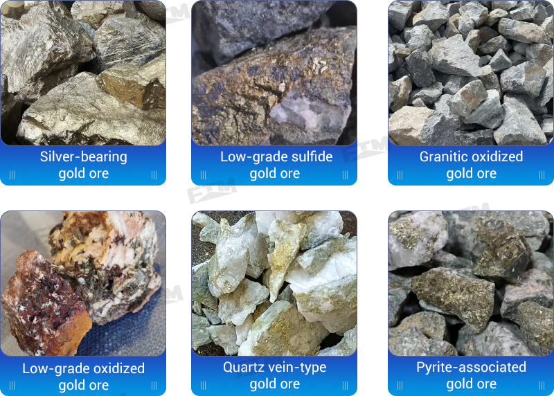 Different gold mines that can be processed by CIL