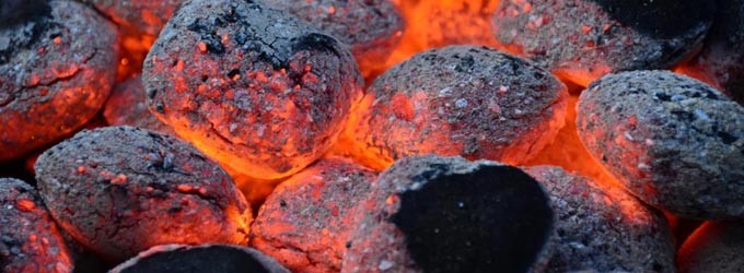 Производство брикетов из древесного угля в Индии: Рынок и технологии